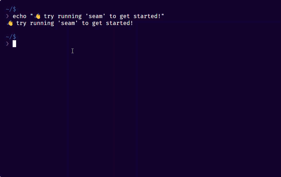 Use the interactive Seam Online CLI to explore and test the Seam API.